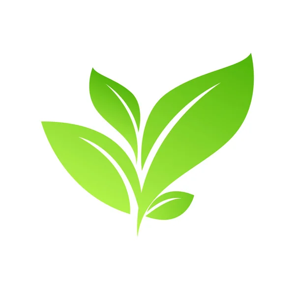 Hoja Verde Icono Diseño Vector Ilustración — Vector de stock
