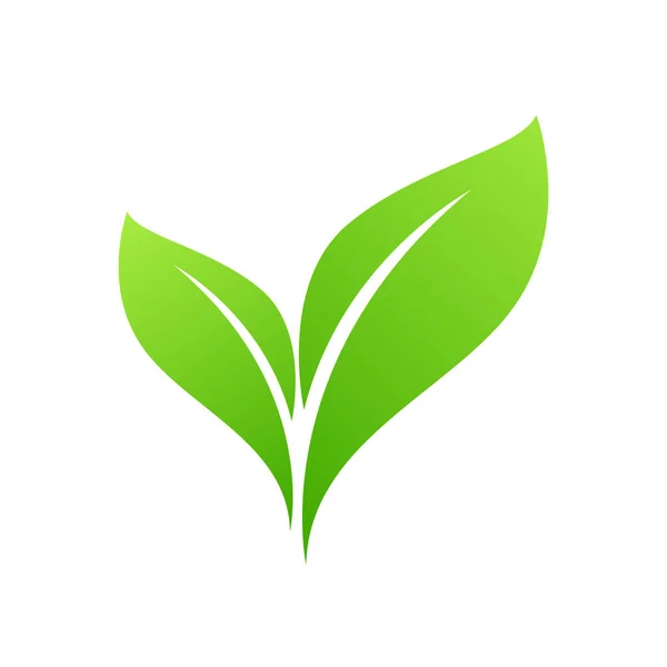 Projekt Zielonej Ikony Liści Ilustracja Wektora — Wektor stockowy