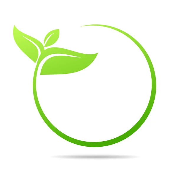 Ekologia Organiczna Liśćmi — Wektor stockowy