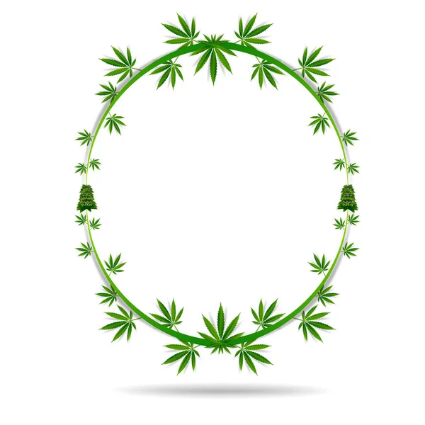 Marijuana Cannabis Leaf Green Nature Logo Symbol Template Vector — Stock Vector