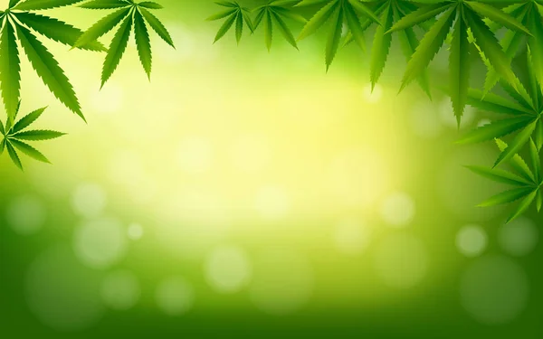 Cannabis Marijuana Design Graphics Background — Stock Vector