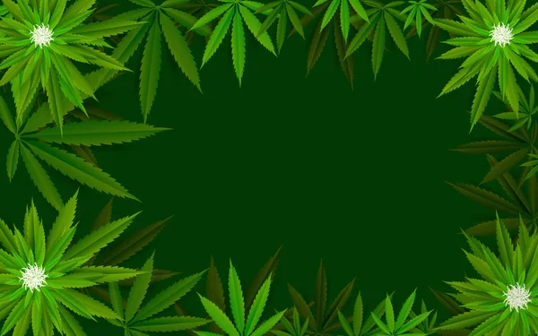 Cannabis Marihuana Diseño Gráficos Fondo — Vector de stock