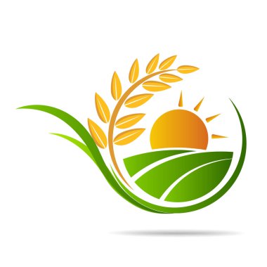 Taze vektör amblemi ve çıkartma çiftliği. Tarım ve tarım, organik gıda, ürün ambalajı için yerel tasarım unsurları