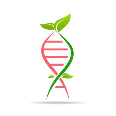 Organik DNA ekoloji ağacı yaprakları. Yeşil düşünce teknolojisi yenilikleri, koruma kavramı