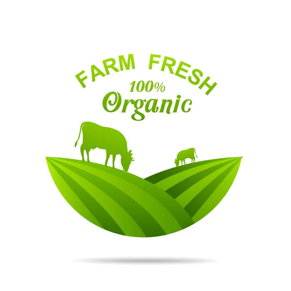 Farm Fresh Vector Emblems Stickers Farming Agriculture Organic Food Locally — Stock Vector