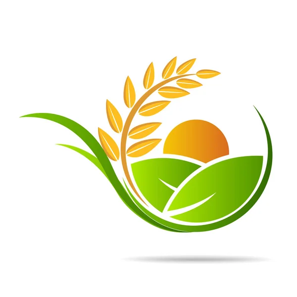 Taze vektör amblemi ve çıkartma çiftliği. Tarım ve tarım, organik gıda, ürün ambalajı için yerel tasarım unsurları