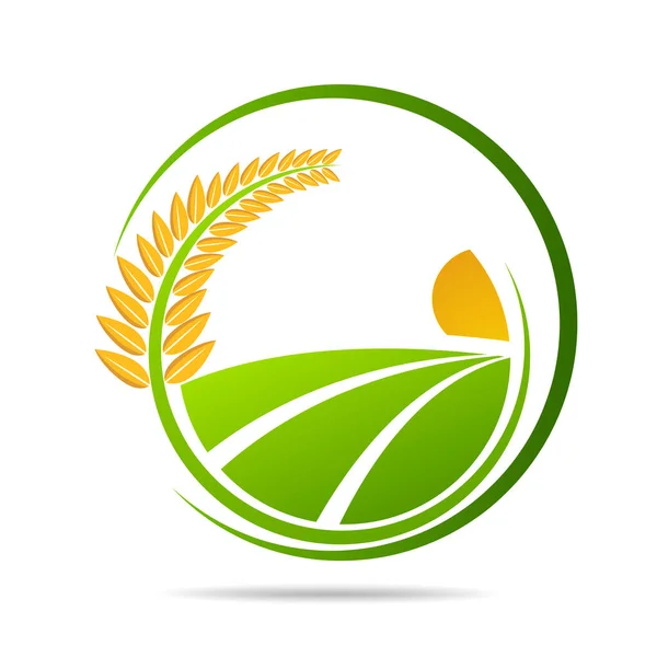 Granja Fresca Emblemas Vectoriales Pegatinas Agricultura Agricultura Alimentos Orgánicos Elementos — Archivo Imágenes Vectoriales