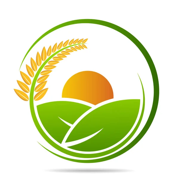 Granja Fresca Emblemas Vectoriales Pegatinas Agricultura Agricultura Alimentos Orgánicos Elementos — Vector de stock