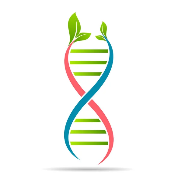 Organic Dna Symbol Ecology Tree Leaves Green Thinking Technology Innovations — Stock Vector