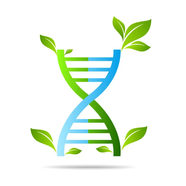 Simbol Organik Dna Daun Pohon Ekologi Hijau Berpikir Inovasi Teknologi - Stok Vektor