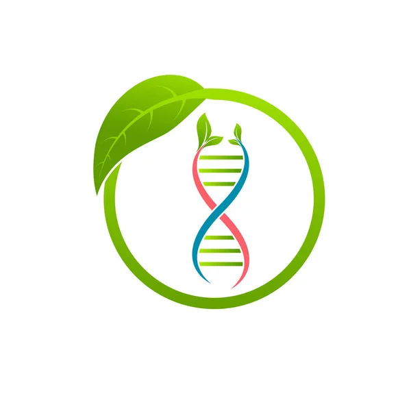 Organiczny Symbol Dna Liście Drzewa Ekologicznego Innowacje Technologii Zielonego Myślenia — Wektor stockowy