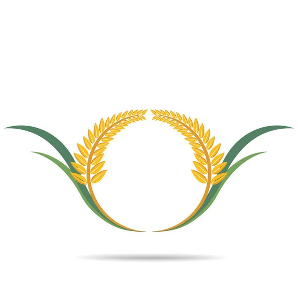 Pšenice Bílém Textu Zemědělská Vektorová Ilustrace — Stockový vektor