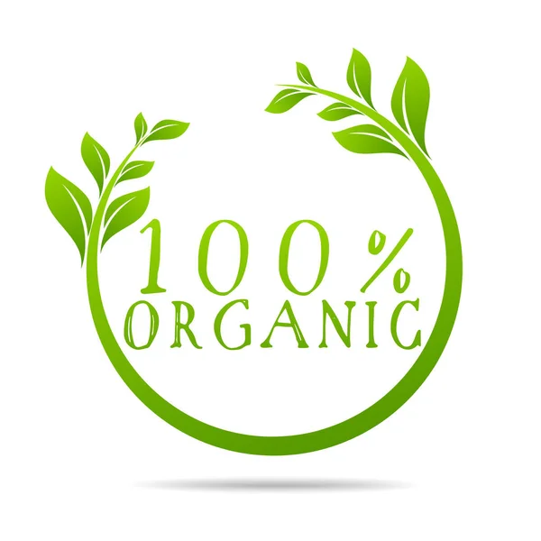 100 Organic Health Design Vector Leaf — Stock Vector