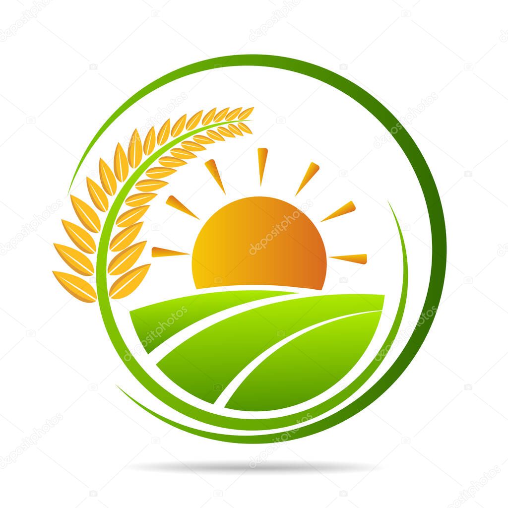 Farm fresh of vector emblems and stickers . Farming and agriculture, organic food, locally grown design elements for product packaging