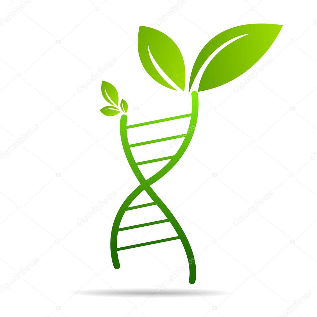 Organic DNA symbol  ecology tree leaves. Green thinking technology innovations, conservation concept