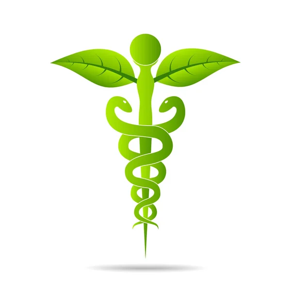 Símbolo Médico Criado Com Cobras Folhas Verdes Símbolo Caduceus Estilo — Vetor de Stock