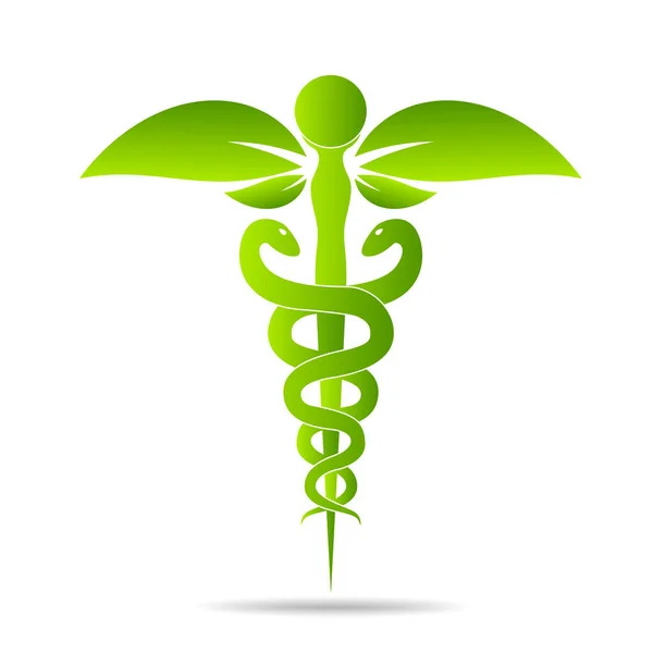 Medical Symbol Created Using Snakes Green Leaves Caduceus Symbol Healthy — Stock Vector