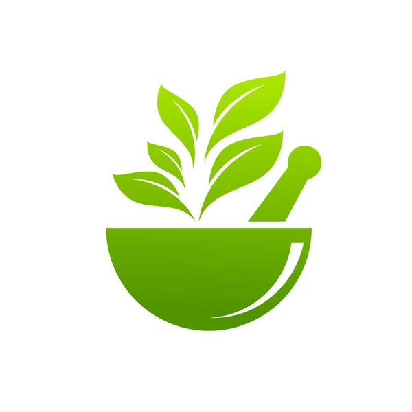 Planta Medicinal Icono Vector Ilustración Diseño Plantilla — Vector de stock