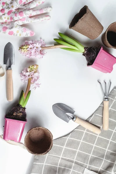 Garden tools and plants on white background. Spring garden concept. Beautiful hyacinths flowers. Place for text.