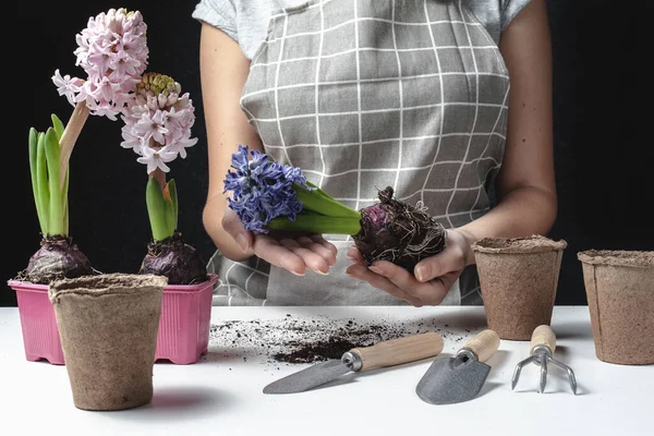 Gärtner Pflanzen Blumen Topf Mit Schmutz Oder Erde Einem Behälter — Stockfoto