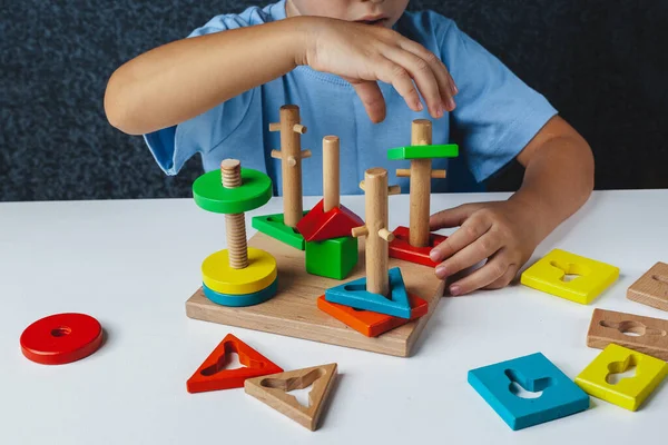 Çocuk Montessori Oyunu Oynuyor Çocuk Tahta Oyuncak Ayırıcı Topluyor Çok — Stok fotoğraf