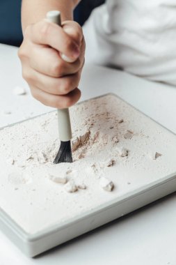 İskelet ve arkeolojik aletler. Kazı fosili eğitimi. Gerçek kazılar gibi. Arkeolojik aletler, arkeolog, yakın plan, el ve alet. Arkeolojik kazılar beyaz arka planda kapanıyor. dinozor iskeleti