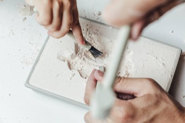 Arkeolojik kazılar. Eller beyaz arka planda. dinozor iskeleti