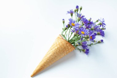 Beyaz arka planda dondurma külahında güzel bir çiçek. Waffle Cone 'da çiçekler. Baharın tadını hisset. Minimalizm Sanat Tasarımı