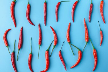 Mavi arkaplanda kırmızı biber deseni.