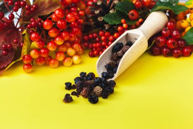 Sarı arka planda vitamin çileği çayı. Sonbahar bileşimi