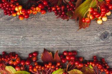 Ağ afişi için ahşap bir arka planda böğürtlen kompozisyonu, posterler, logonuz için yer.