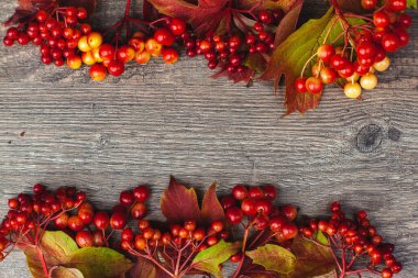 Ağ afişi için ahşap bir arka planda böğürtlen kompozisyonu, posterler, logonuz için yer.