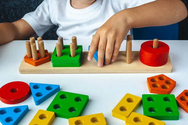Çocuk oyuncakları rengine ve şekline göre topluyor. Ahşap eğitici Montessori oyuncakları. Çocukların elleri yakın plan..