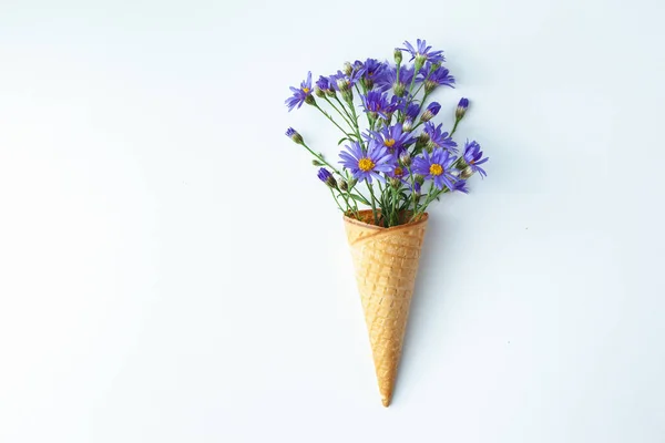 Beautiful flower in ice cream cone on white background. Flowers in Waffle Cone. Feel the taste of Spring. Minimalism Art Design