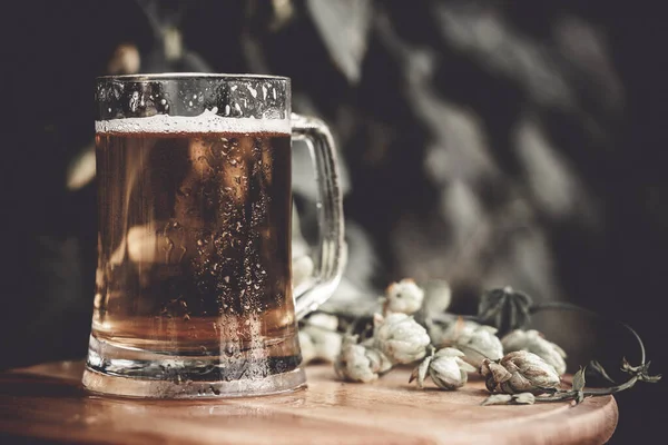 Ποτήρι Μπύρας Πάνω Ξύλινο Τραπέζι Στο Φόντο Του Λυκίσκου — Φωτογραφία Αρχείου
