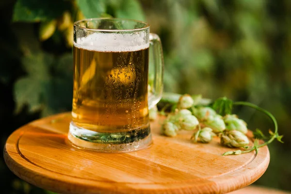 Copo Cerveja Está Sobre Uma Mesa Madeira Contra Fundo Lúpulos — Fotografia de Stock