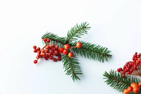 Christmas blank for your advertisement, banner. Berries and spruce branches on a white background