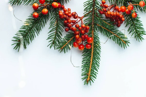 Christmas blank for your advertisement, banner. Berries and spruce branches on a white background