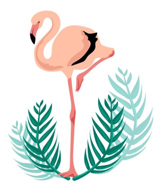 Flamingo ve tropikal yapraklar beyaz arka planda izole edilir. Tişört, sweatshirt, poster baskısı. Metin için yer.