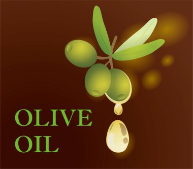Zeytin yağı illüstrasyonlu zeytin dalı. Etiket tasarımı, simge, logo, poster, afiş için harika