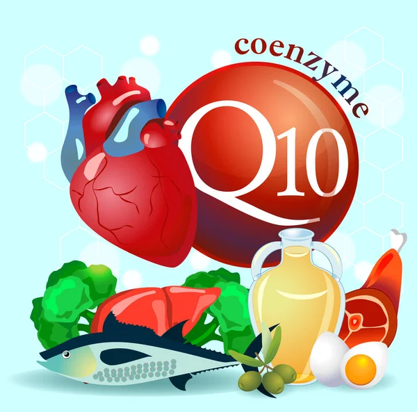 辅酶Q10 健康饮食的基本原则 心脏活动正常化 辅酶Q10含量高的天然有机产品 — 图库矢量图片