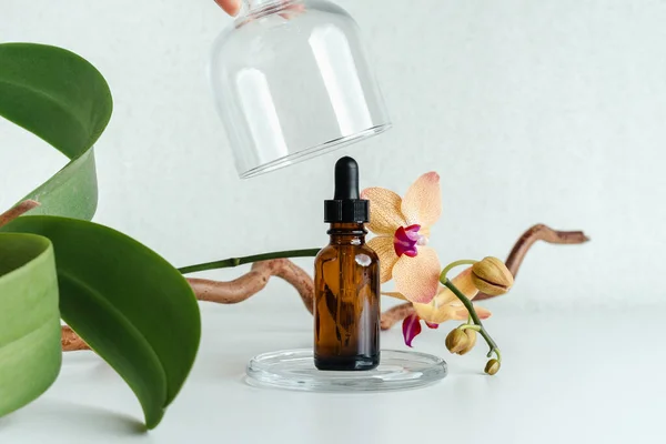 Beyaz arka planda yüz serumu ve orkide. Kadınlar için makyaj malzemeleri, anti yaş. Metin için yer