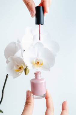 Genç bir kadın orkide arka planında pembe tırnak cilası tutuyor. Mesaj için yer. Moda manikürü