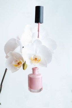 Orkide arka planında pembe oje. Güzellik salonu. Mesajı yerleştir. Havalandırma jeli cilası