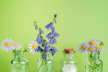 Alternatif şifalı bitkiler ve homeopatik küreseller. Homeopati tıp konsepti. Bir şişe homeopatik boncuk, şifalı bitkiler ve çiçekler. Homeopati ilacı..