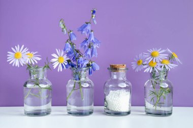 Alternatif şifalı bitkiler ve homeopatik küreseller. Homeopati tıp konsepti. Bir şişe homeopatik boncuk, şifalı bitkiler ve çiçekler. Homeopati ilacı..