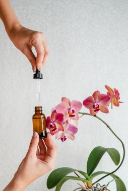 Genç bir kadın elinde deri için bir özü tutuyor. Tropik orkide çiçekleri. Unisex kozmetik. Mesaj için yer. Spa doğal organik ürünler. Erkekler ve kadınlar için anti-yaş kozmetikleri.. 