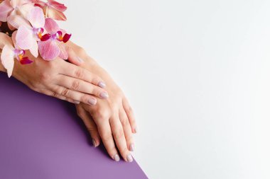 Genç bir kadının elleri yakın plan. Beyaz ve mor arka planda şık moda manikür. Tropik orkide çiçekleri. Mesaj için yer. Manikür ve güzellik salonu reklamı. Rahatlama spa servisi