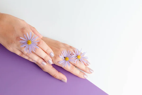 Young woman\'s hands close-up. Stylish trendy manicure on white and purple background. Chamomile flowers. Place for text. Advertising of manicure and beauty salon. Relaxation spa service