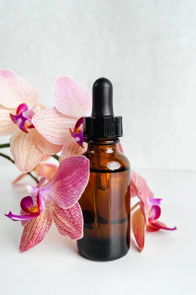 Çiçeklerin Violet arkaplanındaki deri sağlığı için bir şişe özü ve surum. Siyah camlı doğal bitkisel cilt bakım ürünleri. Model reklamcılık. Besleyici yüz yağı